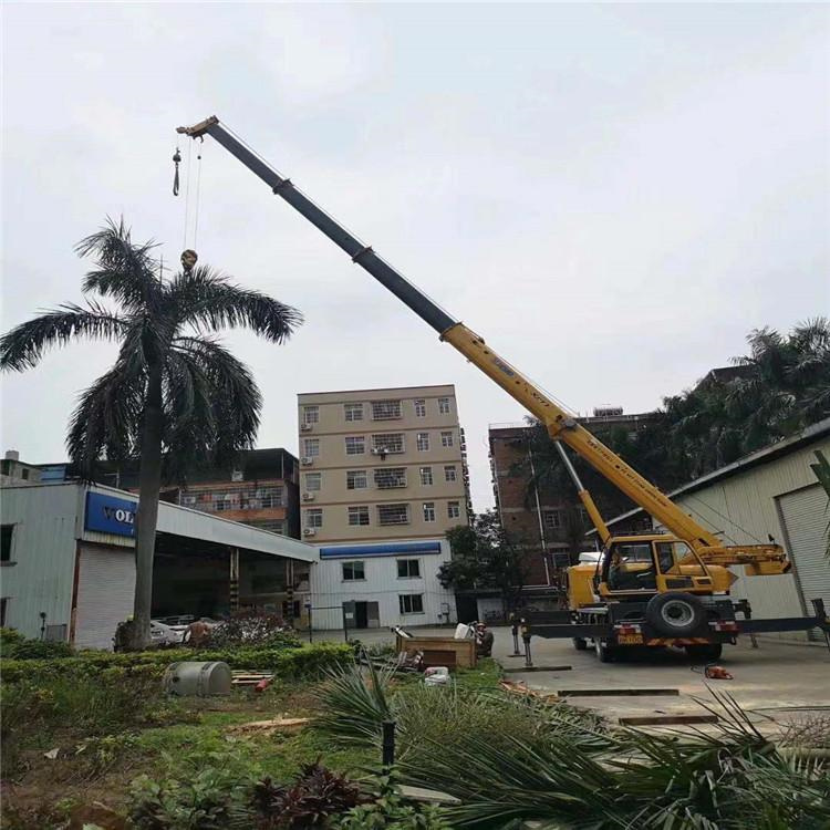 枣庄台儿庄汽车吊出租多少钱？全面解析与市场行情